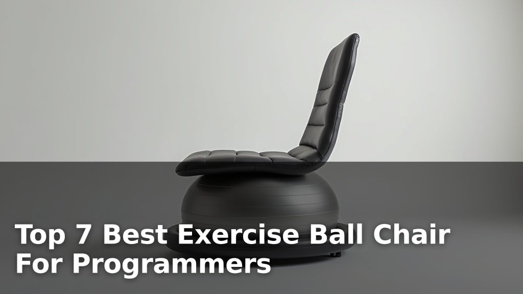 Best Exercise Ball Chair For Programmers